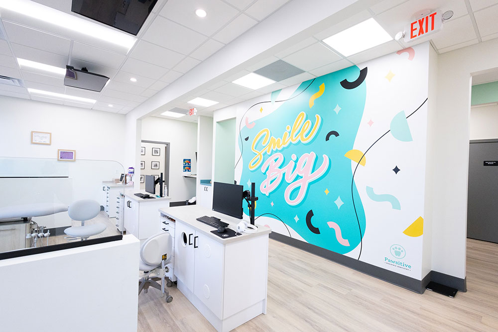 The clinical area at Pawsitive Pediatric Dentistry, with a Smile Big mural on the back wall