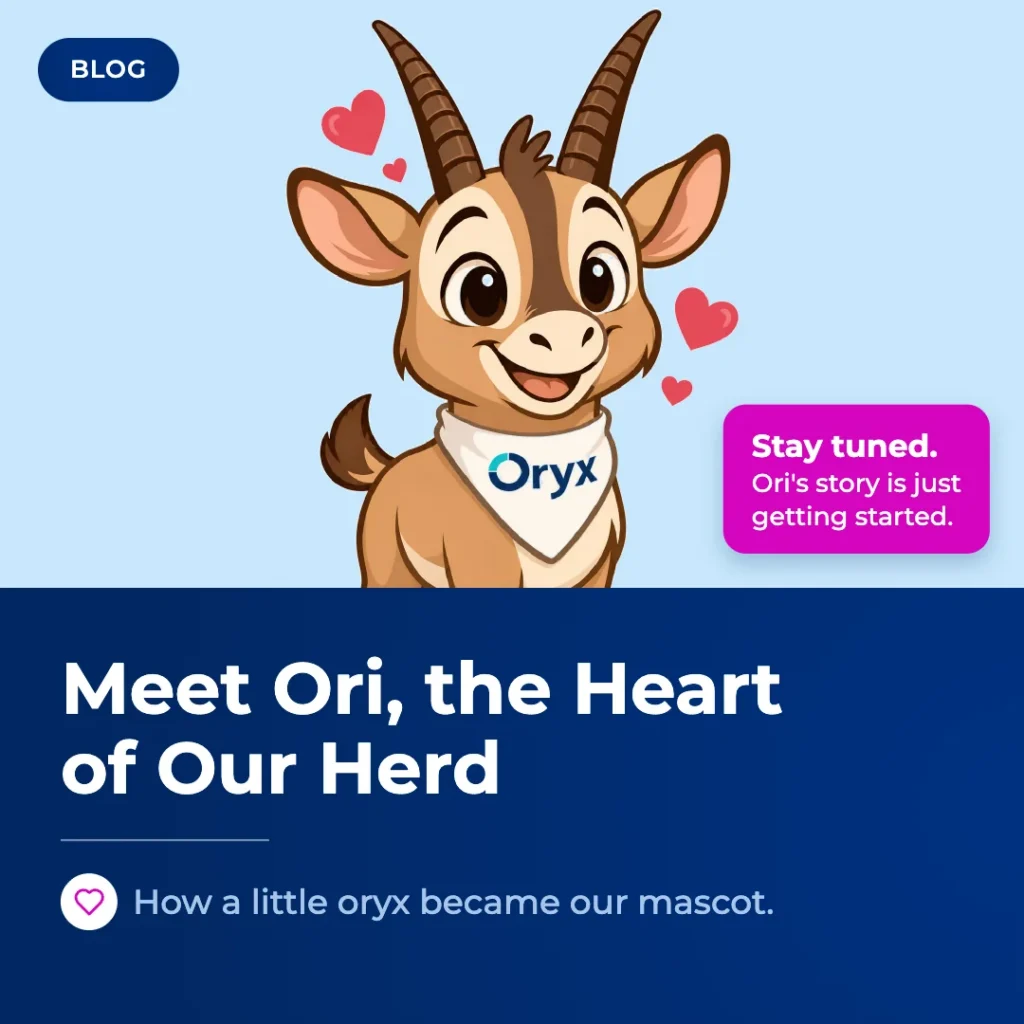 Meet Ori: How a Little Oryx Became the Heart of Our Herd